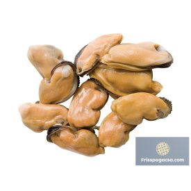 Kagylóhús fekete 250/400   Fagyos 1 kg