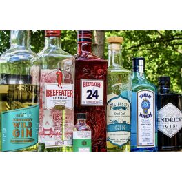 GIN, GENEVER